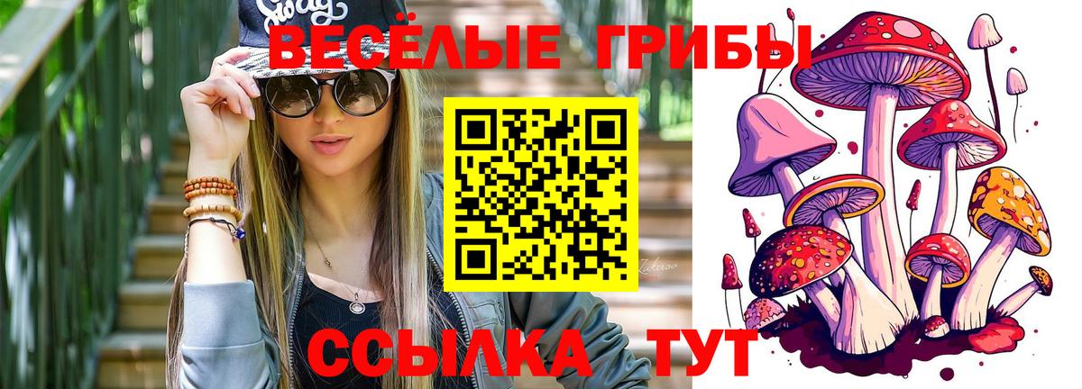 Псилоцибиновые грибы MAGIC MUSHROOMS  Вход с VPN  Тосно 