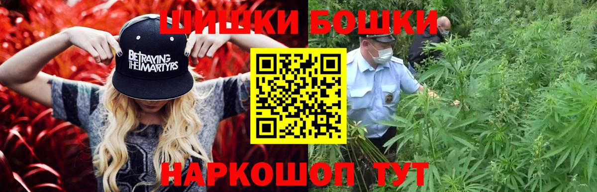 Каннабис индика Тосно